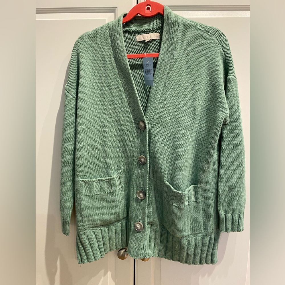 NWT Chunky Loft Cardigan